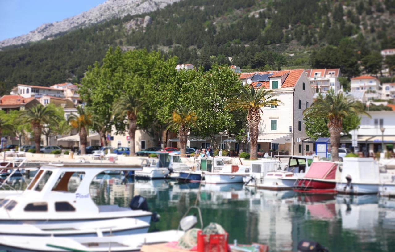 Palac -free Parking- Appartement